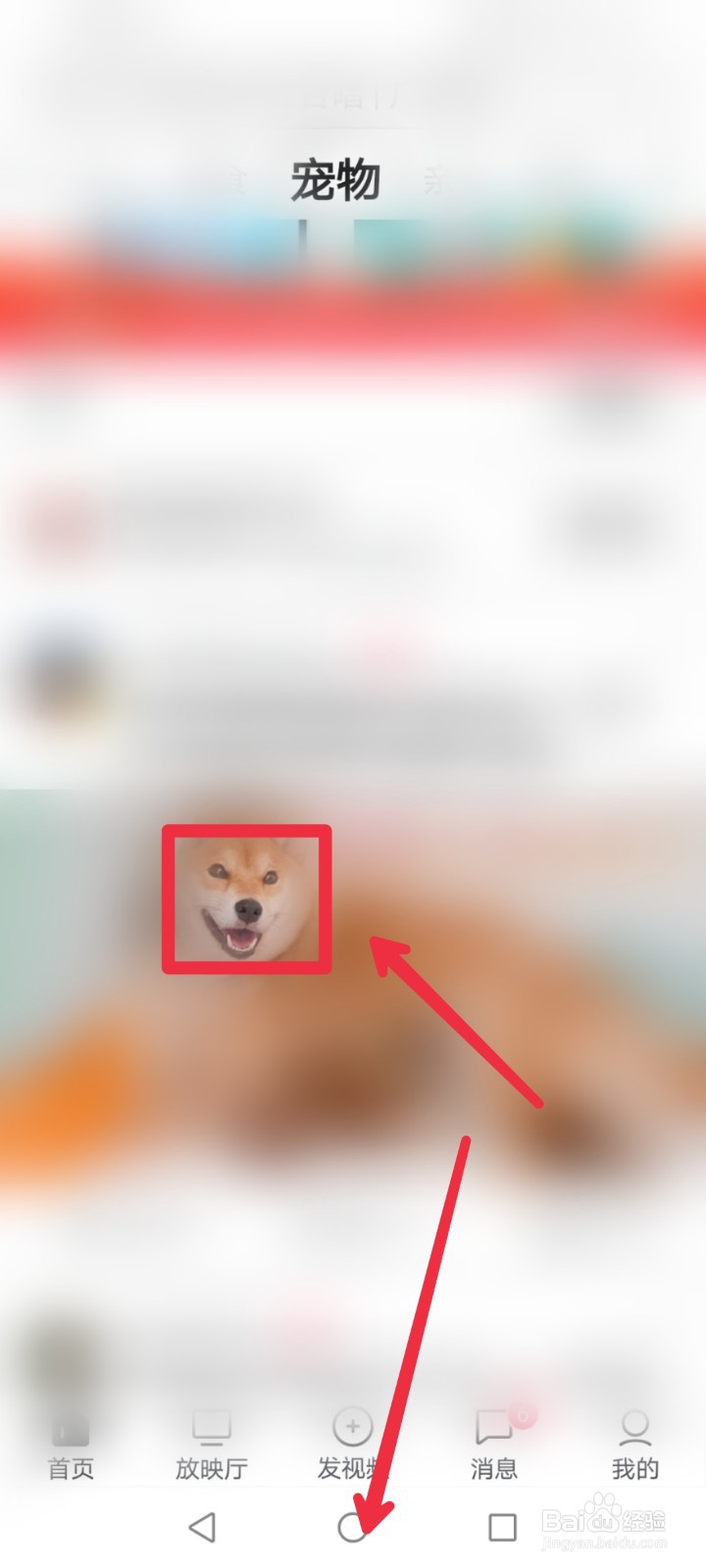 西瓜视频app怎么快速找到宠物视频