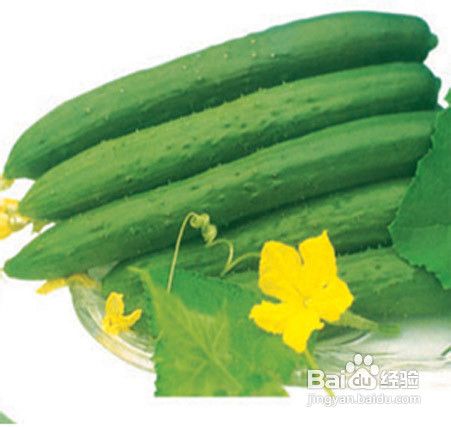 发烧吃什么水果好