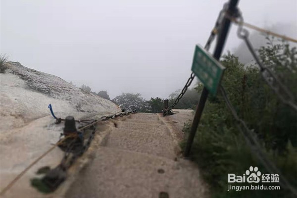 四川广安出发陕西西安（华山）经济四日游