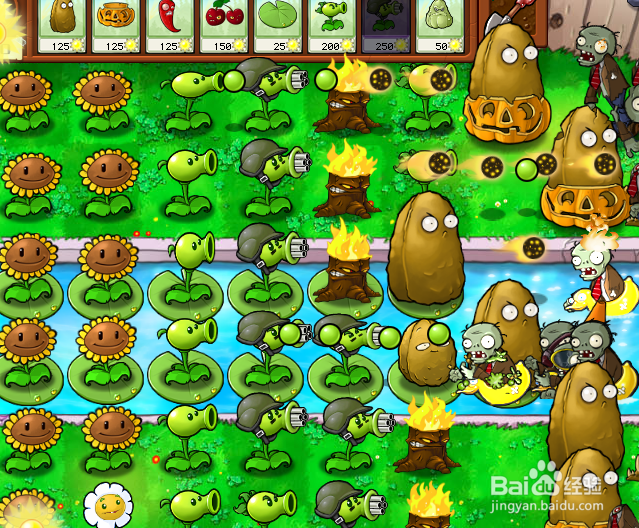 植物大战僵尸如何过泳池