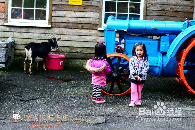 拾海的孩子&亲亲小动物(组图)