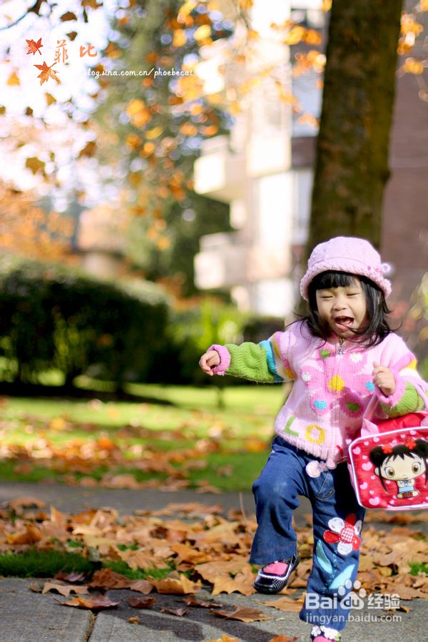 温哥华秋意的乐园，舞动的精灵(组图)