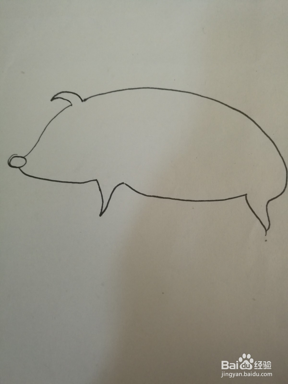如何画一只卡通猪的简笔画