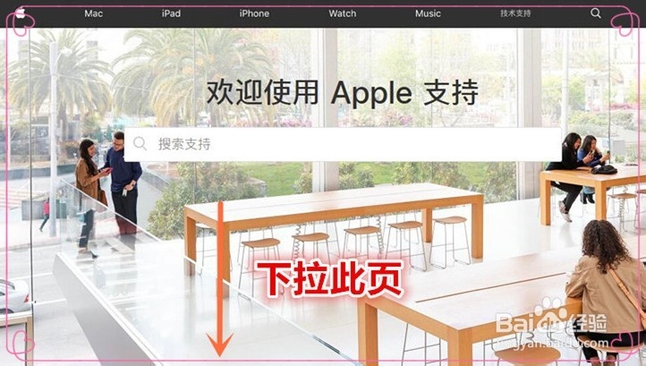 iPhone怎么把数据转移到新手机上,3种官方教程
