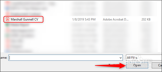 怎么在Excel中插入PDF