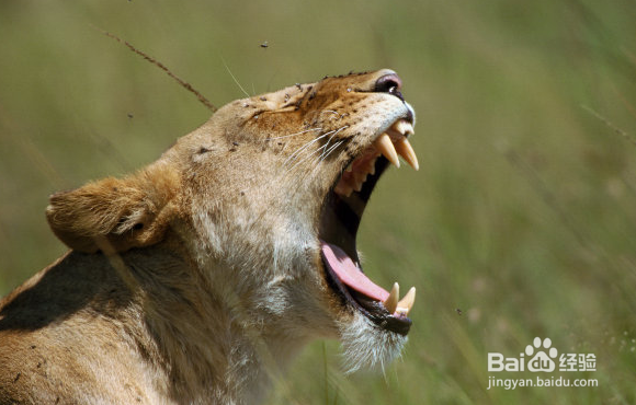 和女朋友吵架的技巧