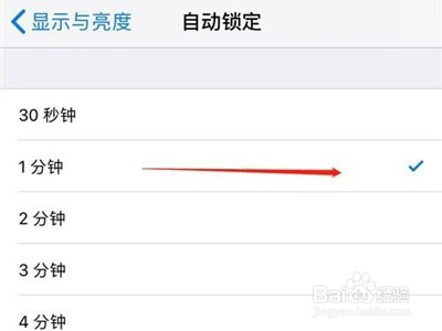 苹果手机亮屏时间怎么调