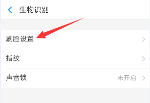 支付宝怎么开通手机刷脸支付