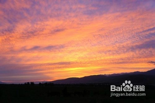 天山深处的绿岛那拉提游记攻略