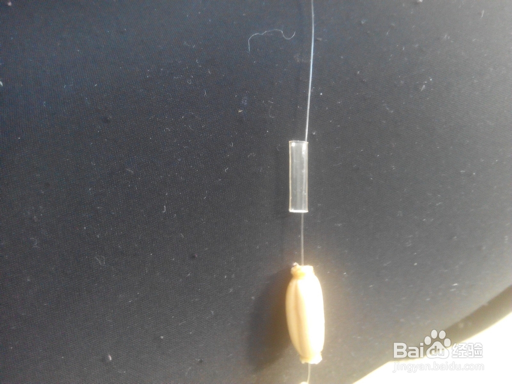 怎么在星漂安装夜光棒（二）塑料管套主线法