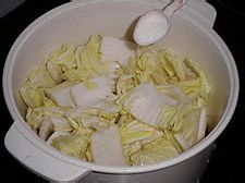 【2011菜展】年菜之十一红红火火------椒香酸辣白菜