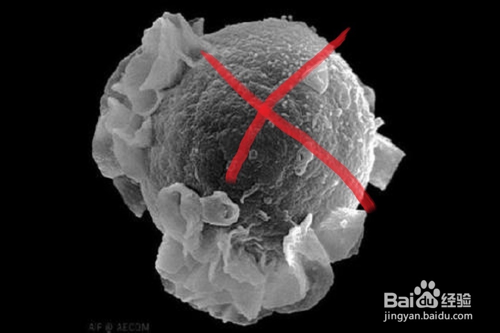 如何预防癌症：[1]十步赶走癌症