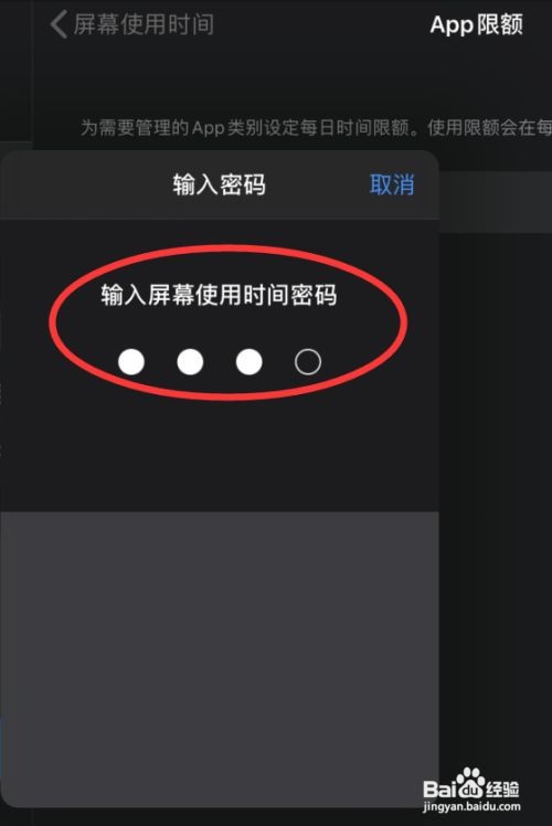 ipad怎么锁相册