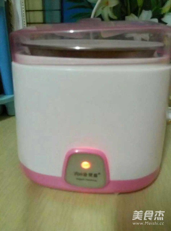 自制酸奶的做法