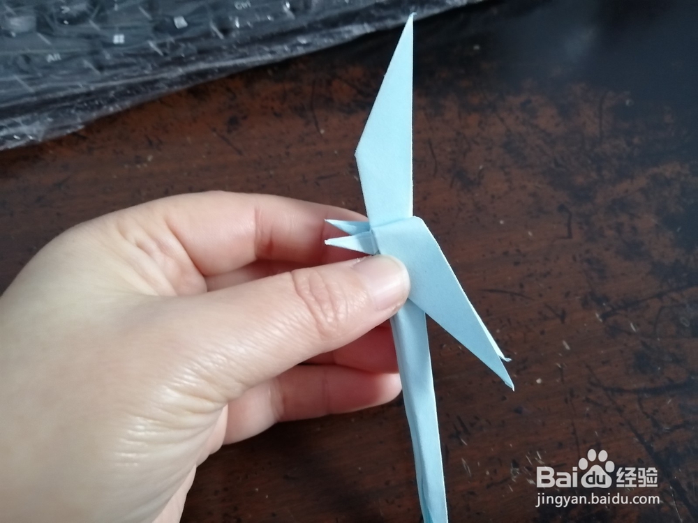 手工折纸—鹦鹉怎么折