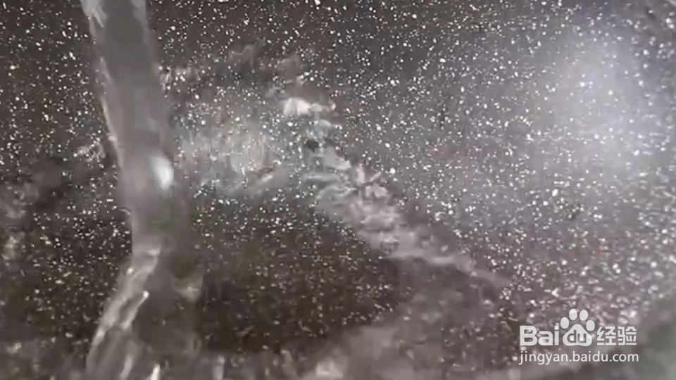八抓鱼水煮不老的做法