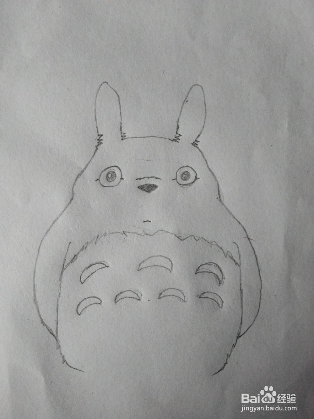 简笔画——怎么画龙猫