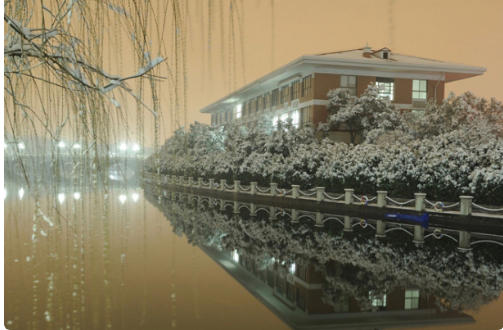 河南有什么大学