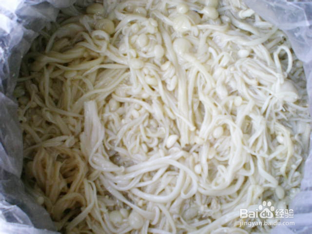 怎样腌制金针菇