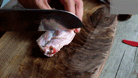 好吃美食----啤酒鸡翅