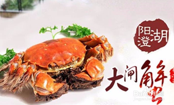市面上几种常见大闸蟹价格