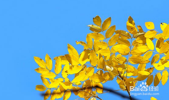 怎么拍照发朋友圈吸引人？