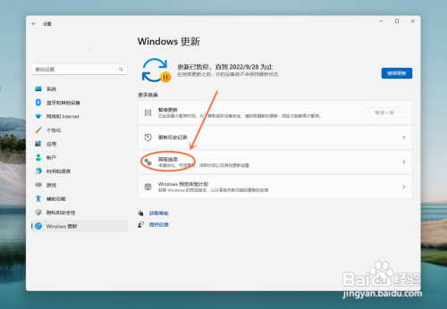win11应该怎样更新office