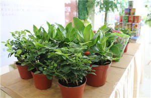 夏日没空调怎么办？7个小妙招帮助房间降温！