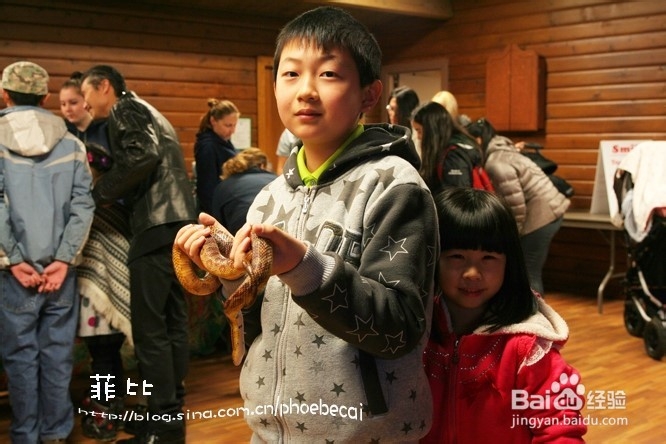 温哥华自然公园珍奇爬行动物展