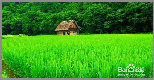 MuseMage怎么设计图片涟漪效果