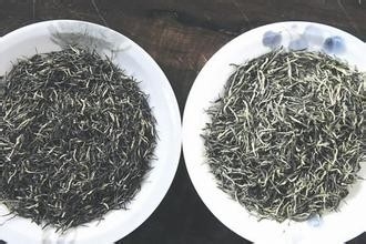 怎样识别新荼和陈茶