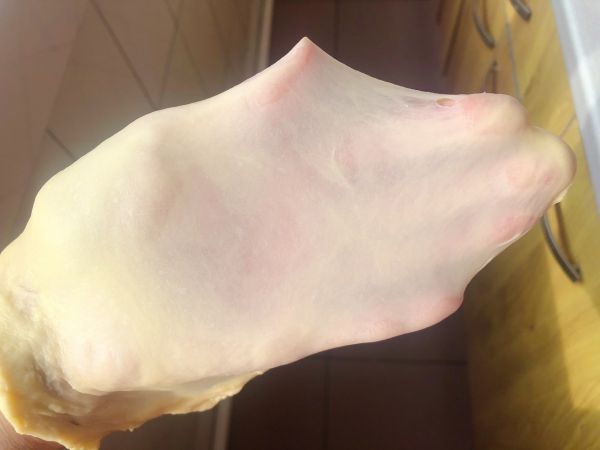 蜂蜜软底小面包