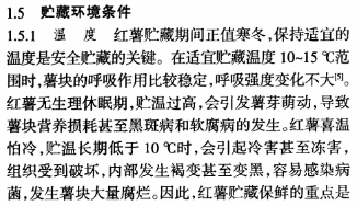 怎样使用青鲜素保鲜红薯