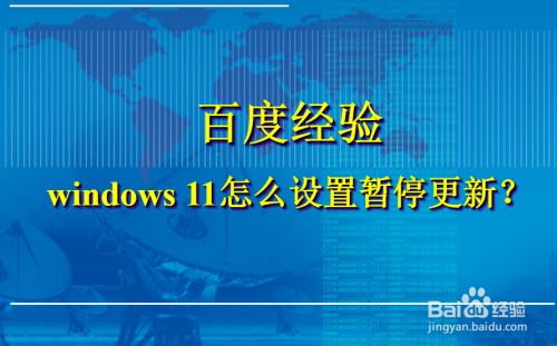 windows 11怎么设置暂停更新