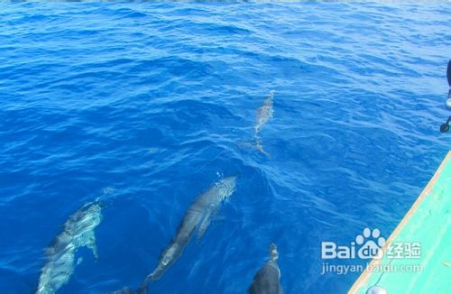 马尔代夫蓝湾半月岛旅游攻略