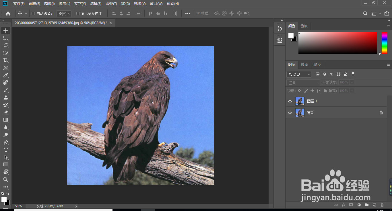 ps抠图，最新最快速的抠图技巧