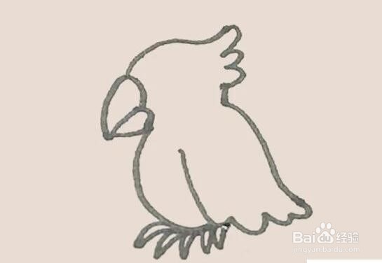 伴儿成长简笔画系列-怎样画鹦鹉简笔画