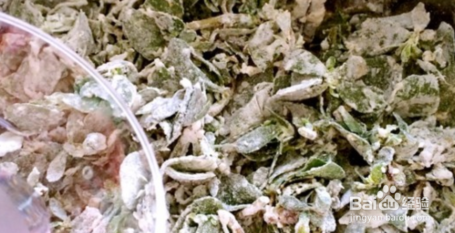马齿苋素馅怎么做好吃