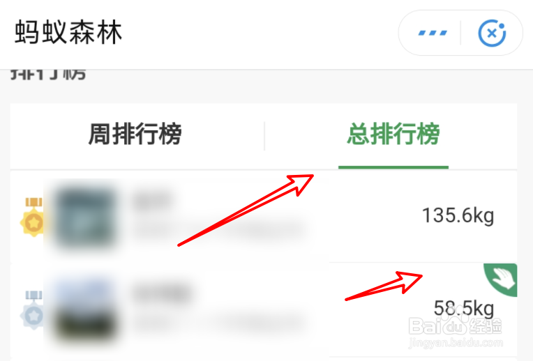 支付宝蚂蚁森林怎么收取好友的能量？