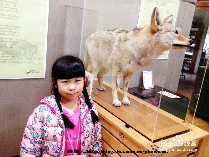 温哥华小学生郊游学什么