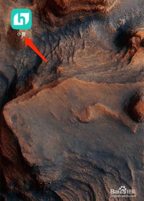 小荷app怎么申请提现稿酬？