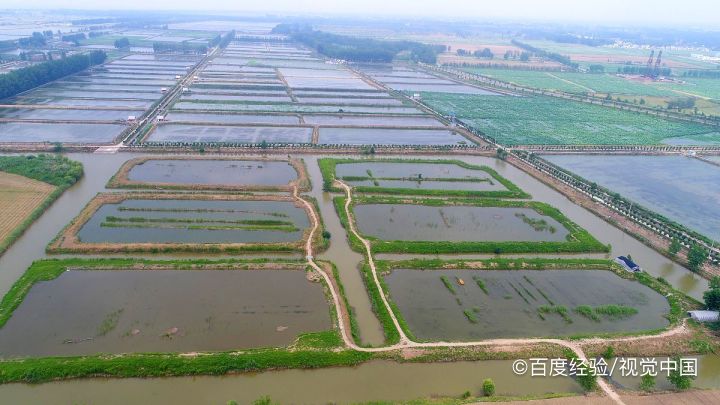 哪里可以钓小龙虾