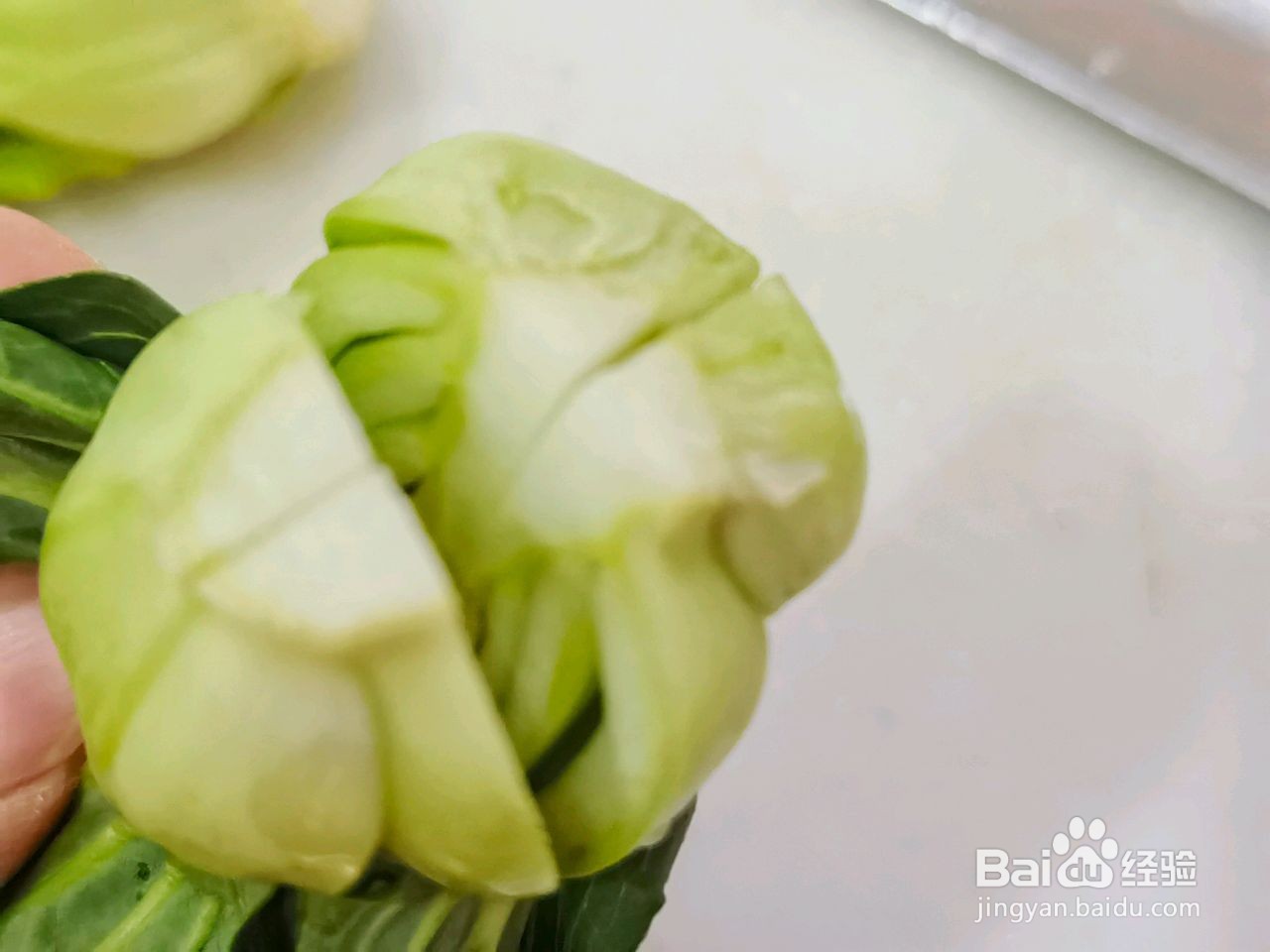 香菇菜心海参拼盘的做法