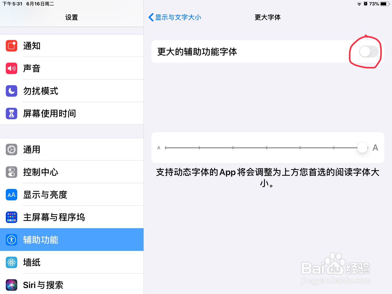 iPad怎么使用最大字体
