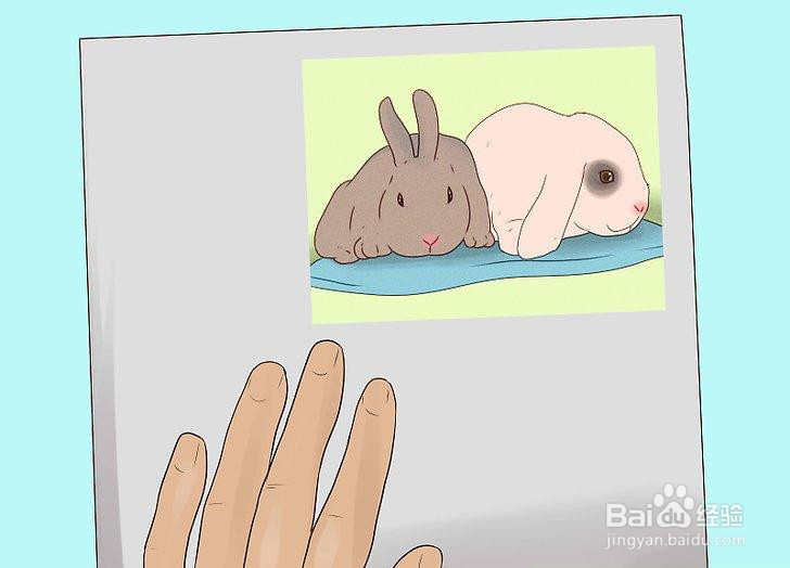 如何管理你的养兔场