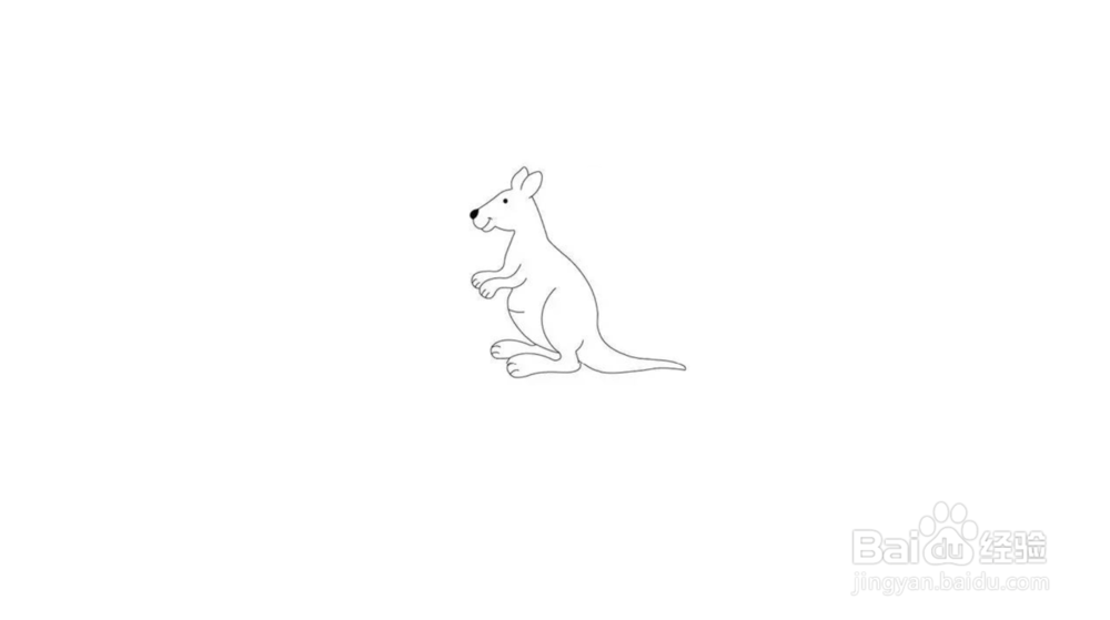 袋鼠简笔画教程