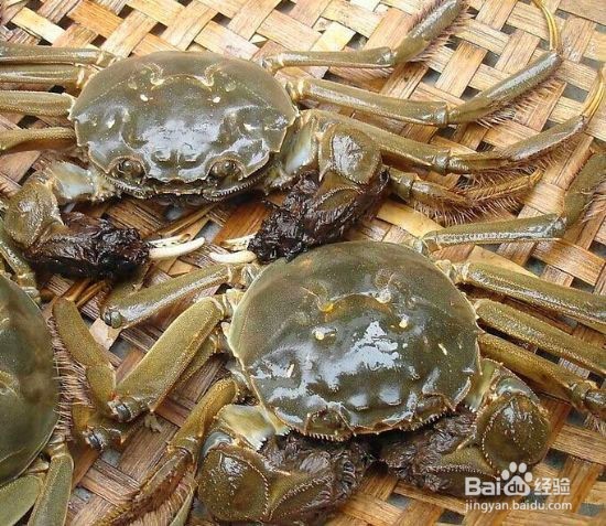 三亚春园广场吃海鲜哪里吃便宜实惠好