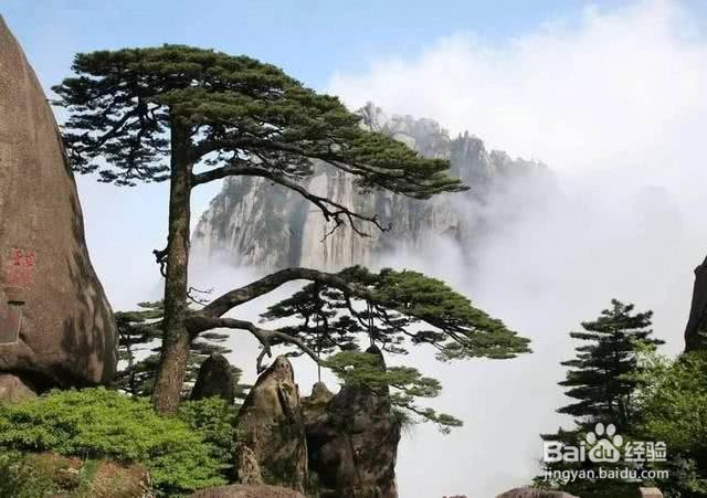 黄山怎么形容