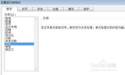 Excel设置单元格的文本格式方法
