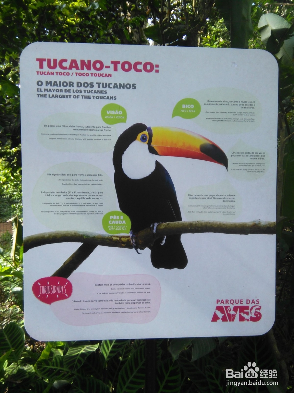 巴西主要景点旅游攻略